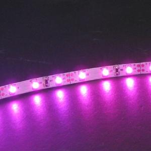 Flexible LED Strip with 3528SMD LED and 12V DC Working Voltage Red, Yellow, Blue