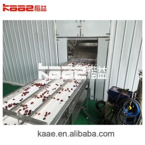 Turnkey projects conveyor drying machine for fruits and vegetables/foods/seeds