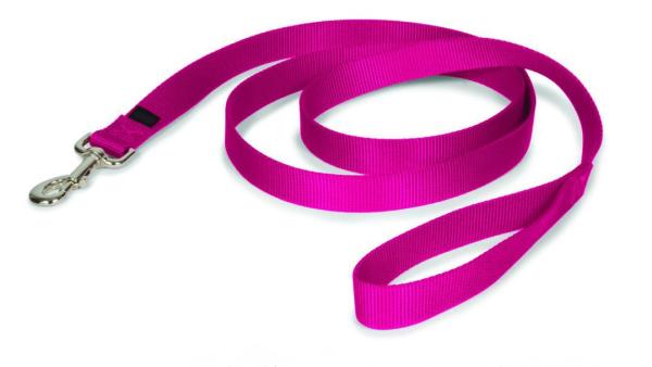 Quality Strong and Durable Traditional Style Nylon Dog Leash with Easy to Use Collar Hook, Available in Multiple Widths for sale