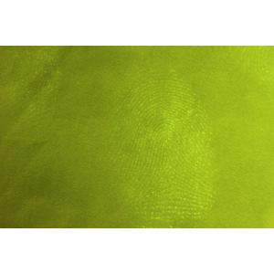 Portable Forensic Equipment , Paper Fingerprint Present Camera System