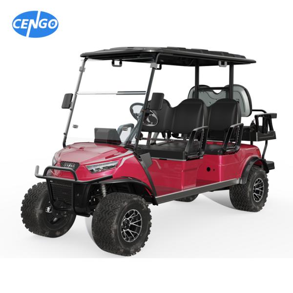Street Legal Golf Cart NL-JA4 2.G Electric Buggy for Sightseeing Club 10% Climbing Ability 30Km/h Max. Speed