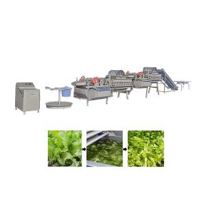 Vortex Type Leaf Vegetable Washing Machine 1000kg/h Salad Vegetable Cutting And