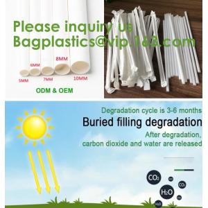 100% Biodegradable Compostable Disposable Apron For Kitchen, Compostable Kitchen