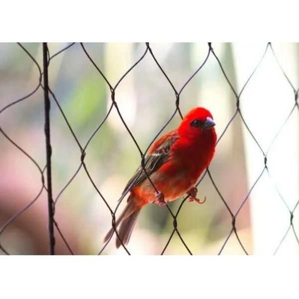 Bird Aviary Wire Mesh , Macaw Parrot Aviary Rope Mesh Protective Cage Enclosure