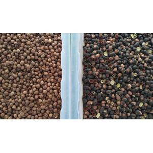 8 Chutes Lotus Seed Separator Machine With High Throughput