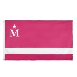 Fade Resistant Pink M 70g Polyester Rectangle Banner Flags 90x150cm