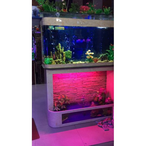 water trickling series aquarium, fish tank, custom made according to your sizes,