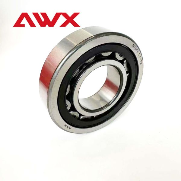 Double Row Full Complement Cylindrical Roller Bearings NJ202-E-XL-TVP2 NJ203-E-XL-TVP2 For Construction Machinery
