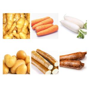 Multi Brush Potato Peelers a Cassava Mussel Cleaning Shrimp Washing Machine