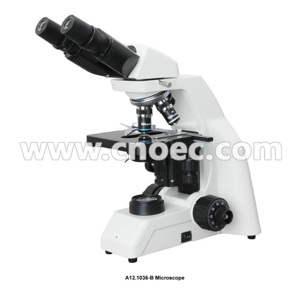 A12.1036 Double Layers Mechanical Stage Biological Compound Microscope With