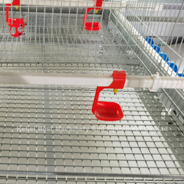 Automatic Layer Poultry Farm Equipment 4 Tier With Automatic Feeding Machine Mia