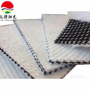 Chinese Design Style High Drainage HDPE 3D Geonet Geocomposite Drainage Network
