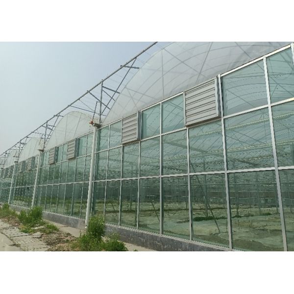 Modular Agricultural Greenhouse For Sale Dome Roof Cover Film Side Cover Multi Span Cucumber Lettuce Growing