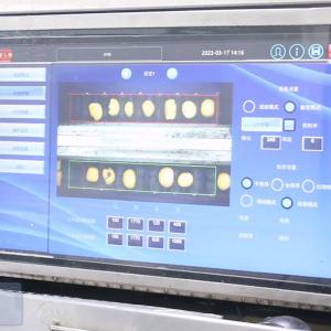 High Efficiency Shelled Chestnut Nut Sorting Machine 2 Ton/H