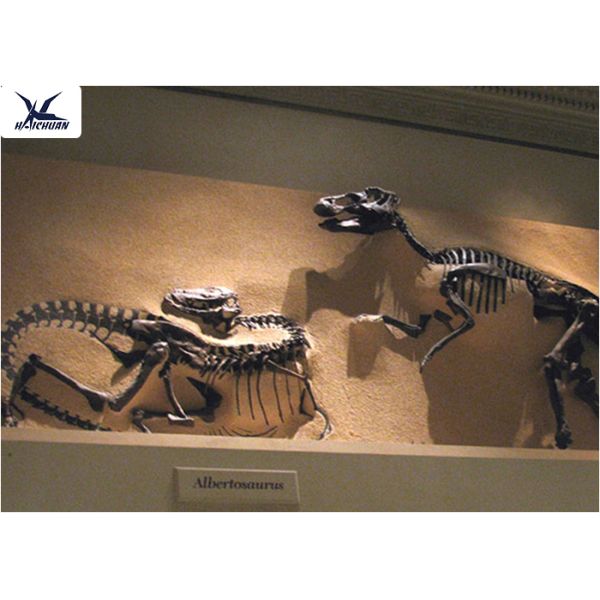Amusement Park Facility Life Size Dinosaur Skeleton Replica Artificial Replica Model