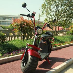 EcoRider 2 wheel electric scooter 1500w brushless hub motor with big fat tire