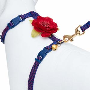 Breakaway Safety Cat Harness Collar , Personalized Cat Collars Polyester Webbing