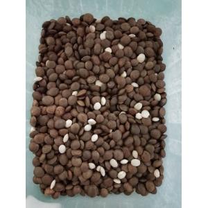 7T/h 7 Chute Sacha Inchi Color Sorter Advanced Image Processing System