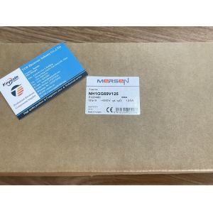 NH1GG69V125P 1250V 69A SiC MOSFET Module Low Rds(on) 11mΩ Fast Switching High
