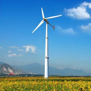 Home Wind Power System 2000w 5kw 10kw 48v Small Wind Turbine Alternative Energy