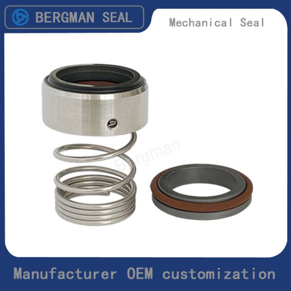 BERGMAN M37 120 M3N 18mm-90mm G60 G4 G6 G9 G13 G16 BS Bo BP Pump Mechanical Seal