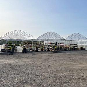 Large Multi-Span PE Greenhouse 50-100m Length 7-10m Width