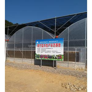 Film Type Multi Span Greenhouse Wide Span Greenhouse With Steel Skeleton And