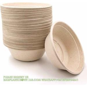 Biodegradable Disposable Compostable Sugarcane Bagasse Food Container Paper Pulp