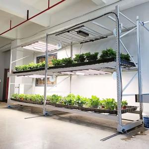 Wholesale Hydroponic Rack System Vertical Farming Racks Electrostatic Powder Coating from china suppliers