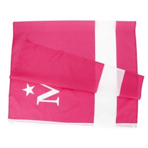 Fade Resistant Pink M 70g Polyester Rectangle Banner Flags 90x150cm