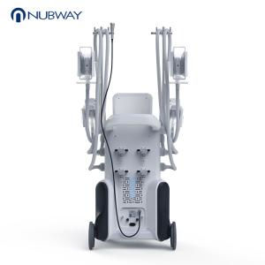 OEM ODM service efficient beauty technology fat freezing Cryolipolysis slimming