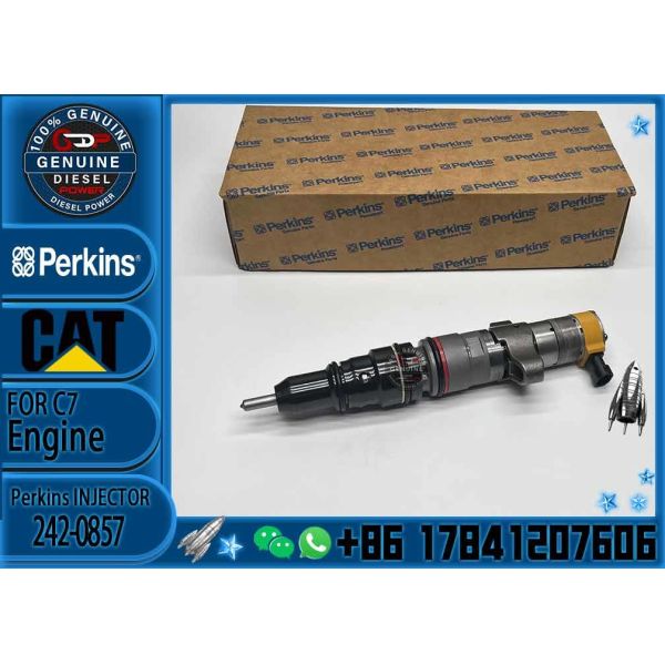 Diesel Engine Parts Common Rail Fuel Injector 242-0857 for CAT C9 330D 340D 336D