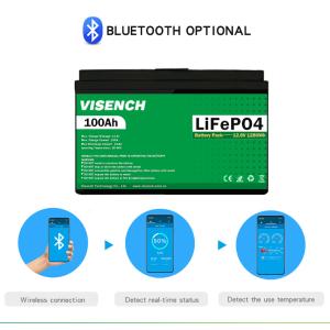 Visench Rechargeable Lithium Ion Batteries 51.2V 100Ah 24 Volt Custom LiFePO4