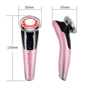 Professional Galvanic Massage 2 In 1 EMS Beauty Device