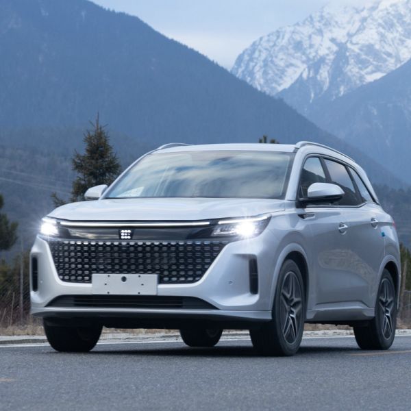 5/7 Seats Front/Rear Wheelbase Electric Vehicle Plug-In Hybrid with 1585/1580mm