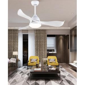 42 Inch Bathroom Ceiling Fan With Light And ABS Blades