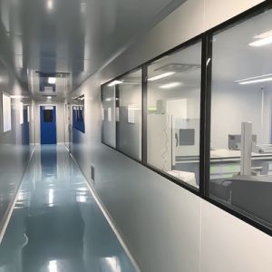 GMP Factory Direct Supply of Sandwich Panels Clean Doors and Windows for Clean