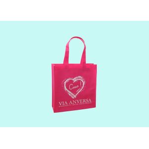 Custom Printing PP Non Woven Bag for Clothes and Shoes Packaging
