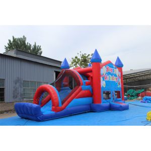 Wholesale 8-13 Years Old Upgrade to Our Customized Size Inflatable Bouncer Castle Slide Combo from china suppliers