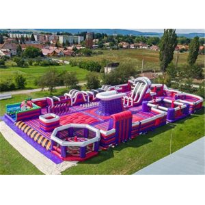 Durable Inflatable Theme Park With PVC Tarpaulin Material Purple And Blue