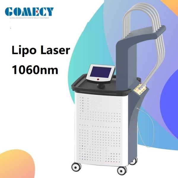 No Surgery 1060nm Lipo Laser Slimming Machine With Touch Screen