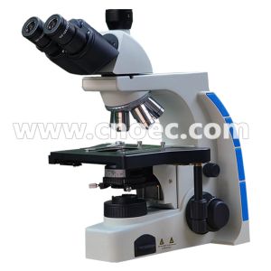 40X 100X Learning Compound Optical Microscope Halogen Illumination Microscopes
