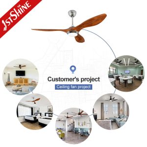 2- Cool Function High Speed Plastic Energy Saving DC Motor Ceiling Fan for Home