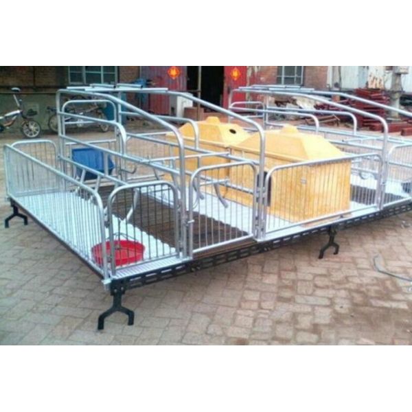 PSF-01 50mm Plastic Slat Floor Poultry Broilers For Piglet