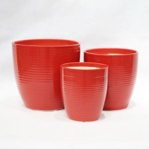 Stunning Plant Display With Our Ceramic Pots Various Sizes Available Ceramic