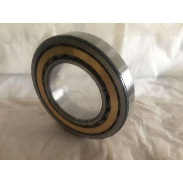 50mm ID 80mm OD Radial Cylindrical Roller Bearing NJ1010 V2 V3 Vibration Level