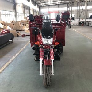 Drift 200CC Wind Cooled 1.5t 3 Wheel Petrol Tricycle