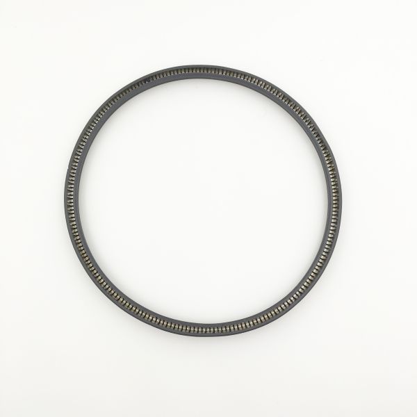 Customizable Sophisticated Structure Spring Energized PTFE Seal for All Industries