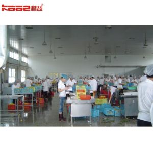 Wholesale Easy Operation High Efficiency Canned Food Processing Line 1~60 Tons from china suppliers
