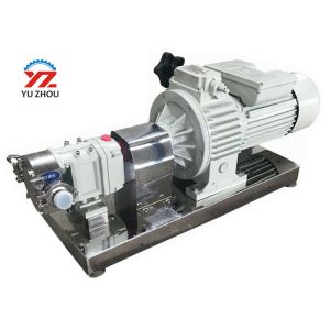 220v Single Phrase Rotary Lobe Pump Variable Frequency Adjustable Speed